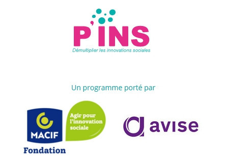 Programme P'INS